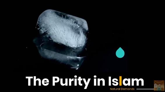 The Purity in Islam